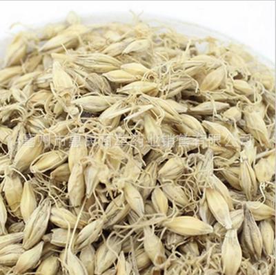 惠民通品质 麦芽 麦芽 干麦芽一公斤包邮 食用农产品初加工